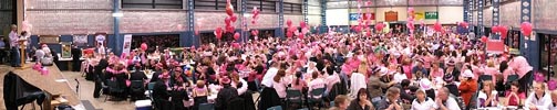 Think Pink Fundraiser